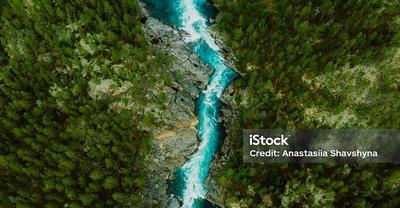 Istockphoto 1458782106 1024x1024