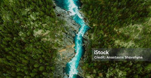 Istockphoto 1458782106 1024x1024