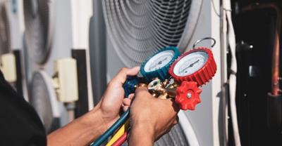 Shutterstock 2449251699 edited