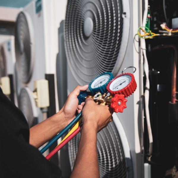 Shutterstock 2449251699 edited