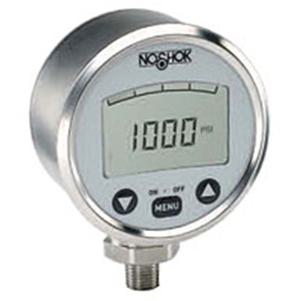 1000 Series Digital Pressure Gauges 06375