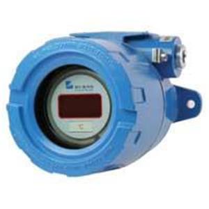 19 A Head with Indicator 07696