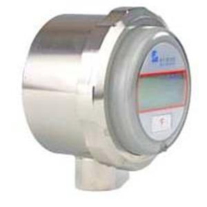 21 S Head with Indicator 07698