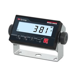 381 Synergy Series Digital Weight Indicator 10656