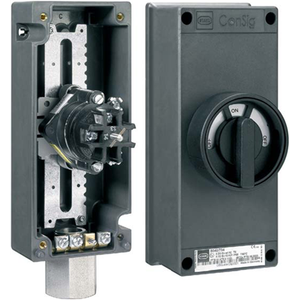 8040 Series Light Switches 01391