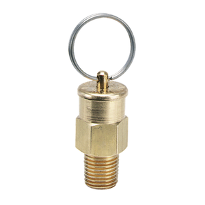 A 321 Pressure Relief Valve 05074