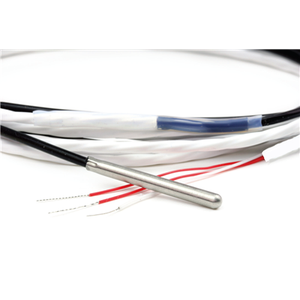 B05 Stainless Tipped Miniature RTD 01518