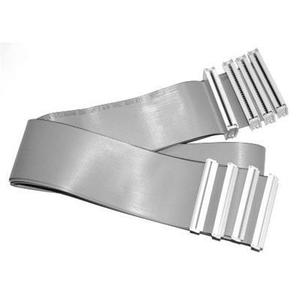 CA 1 Ribbon Cable 00712