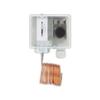 DFS2 Low Limit Freeze Protection Switch 07328
