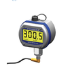 DTG RTD100 Digital RTD Thermometer w NEMA 4 X Enclosure 09070