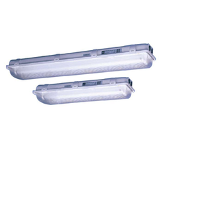 ECOLUX 6608 Series Fluorescent Emergency Luminaires 01390