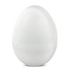 Egg Temp Data Logger 01766