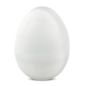 Egg Temp Data Logger 01766