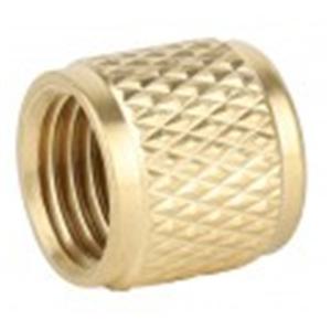 F3005 14 SAE Brass Cap w O Ring 09903