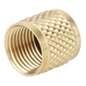 F3007 38 SAE Brass Cap w Gasket 09904