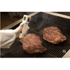 FP Probe Food Pro Plus IR Thermometer 87777