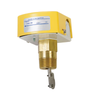 FSW 160 Heavy Duty Paddle Flow Switch 13752