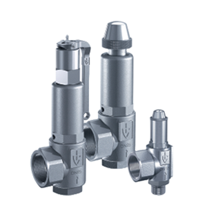 Goetze 451 Series Safety Valves 14530
