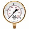 P1 S 100 Series Pressure Gauge 07719