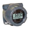 PD6730 Vantageview NEMA 4 X Pulse Input Rate Totalizer 00788 dm1746721558