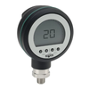 PGE20 Series General Purpose Digital Gauge 13419