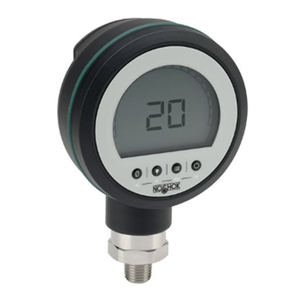 PGE20 Series General Purpose Digital Gauge 13419