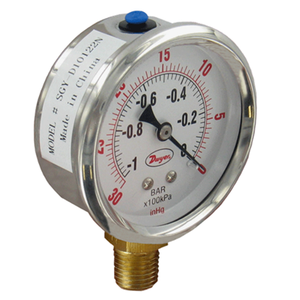 SGY 2 5 in Industrial Pressure Gage 02503