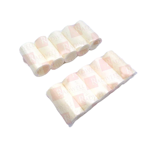 SSF PF 10 PK Particulate Filter Cartridges 05539