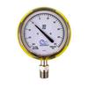 Series 25 Process Gauges 01580