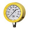 Series 34 Test Process Gauge 01578