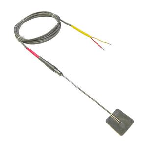 Specialty Thermocouples RTD s 03848